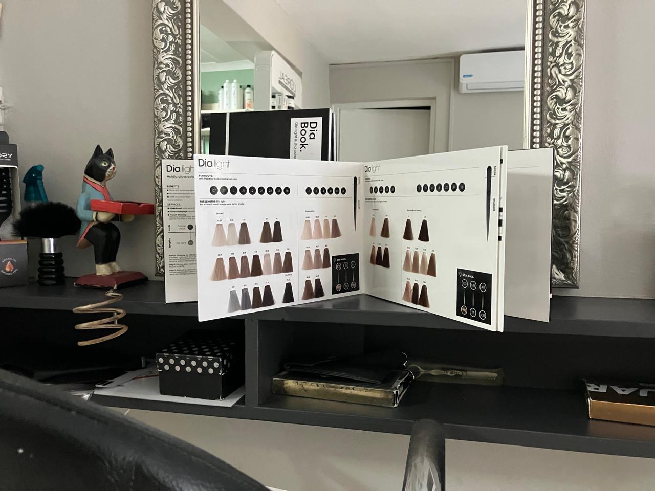 Dia Light acidic gloss colour swatch book